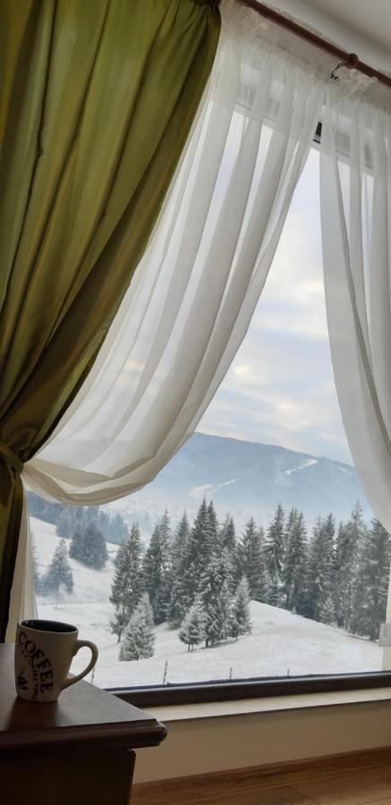 Bucovina Sky View Villa Gura Humorului Exterior foto